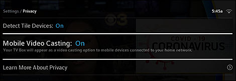 The Mobile Video Casting option is displayed as the second of three options on the Privacy screen.